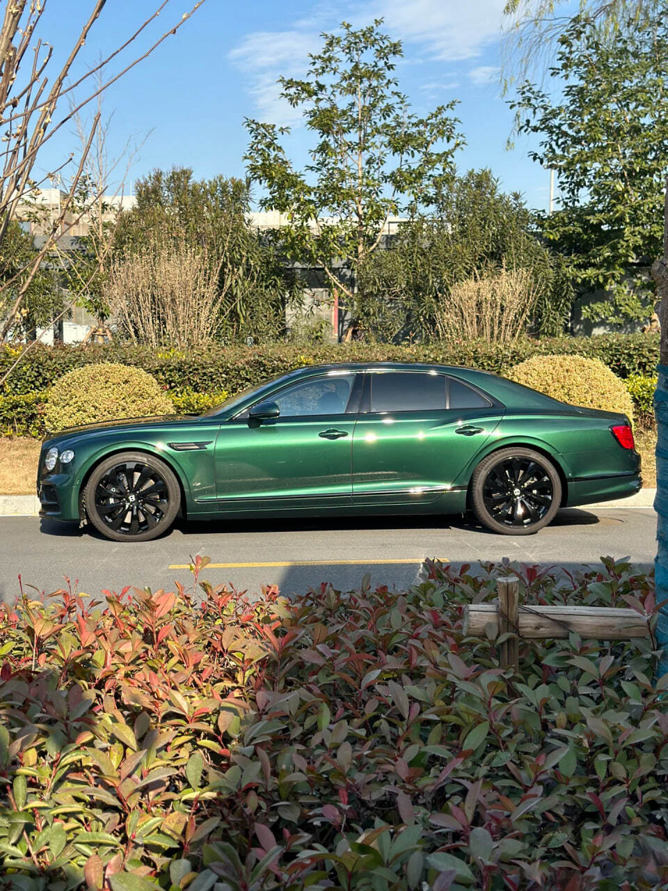 Royal Green