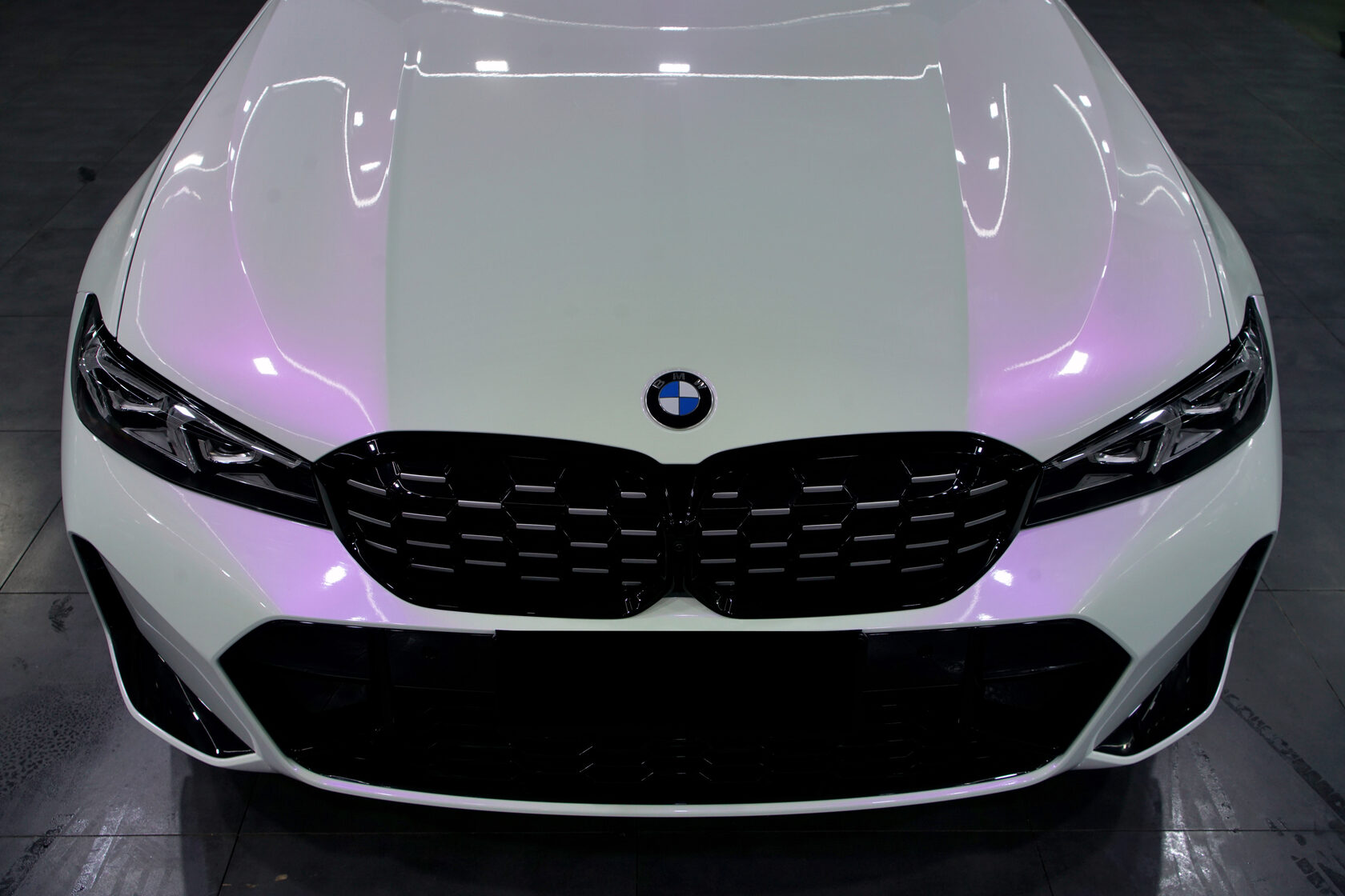 Shell White Purple